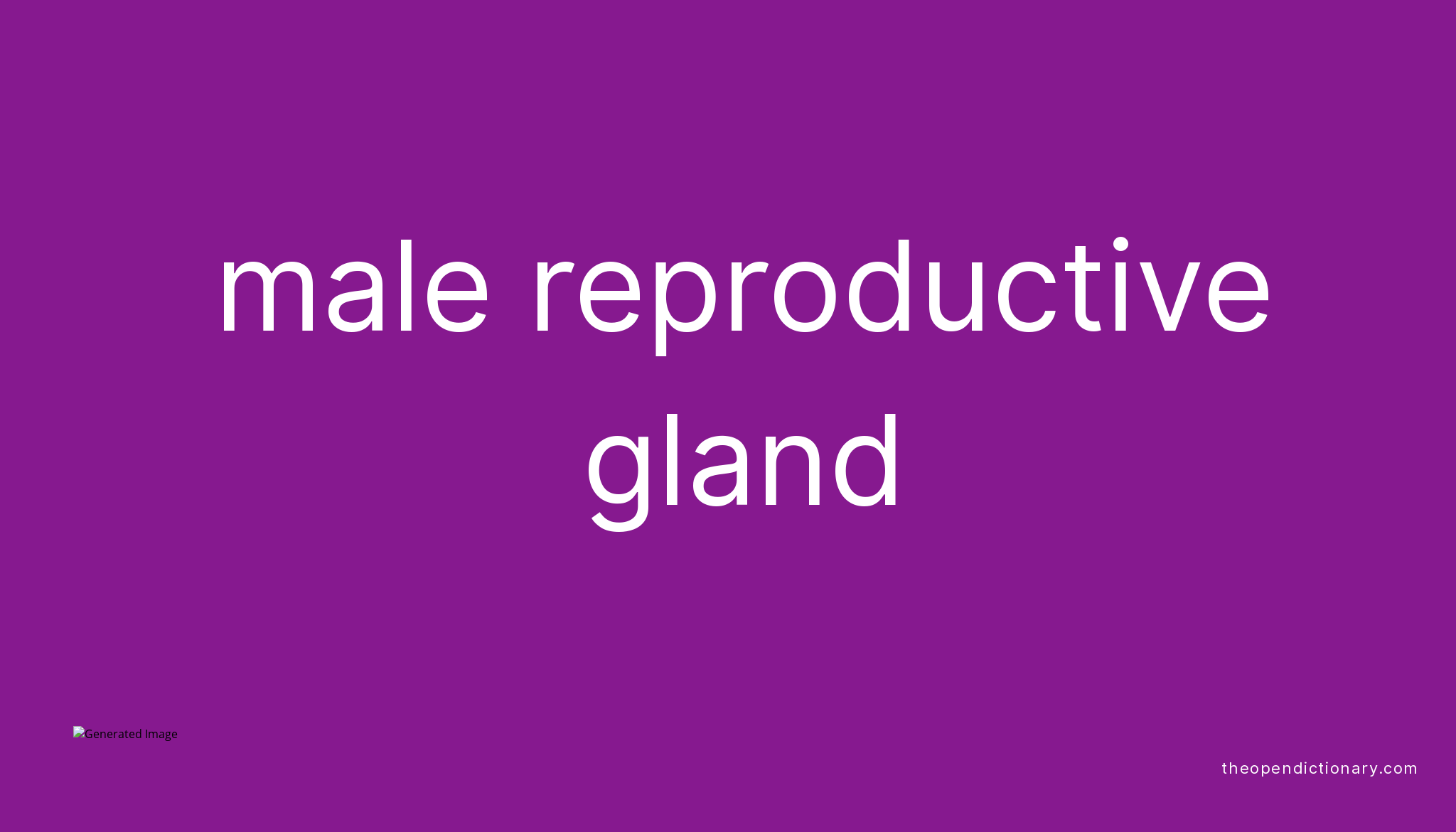 Male reproductive gland Meaning of Male reproductive gland